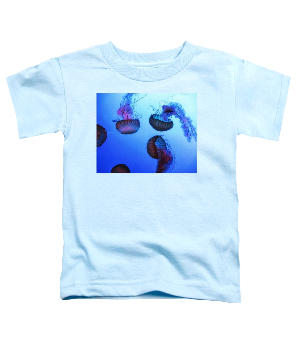 Jellyfish - Toddler T-Shirt