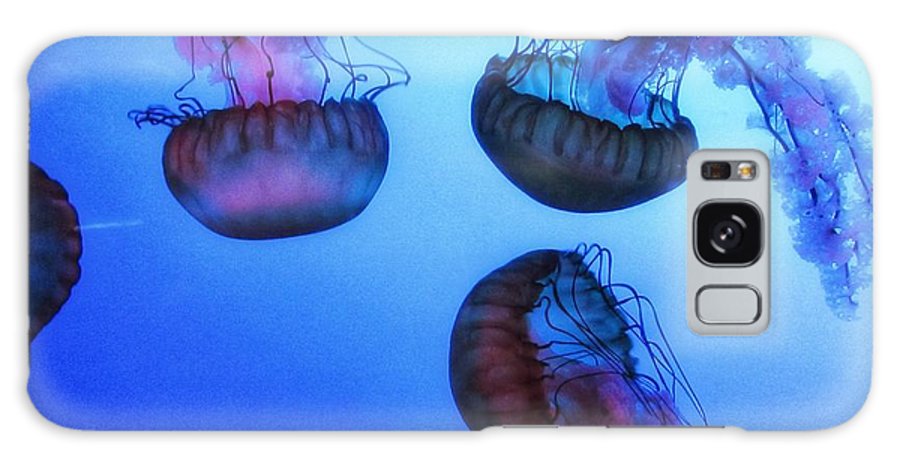 Jellyfish - Phone Case