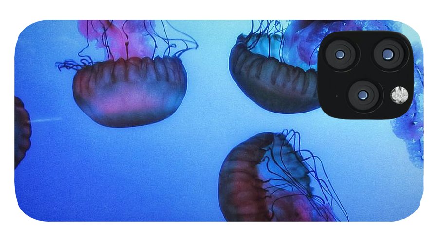 Jellyfish - Phone Case