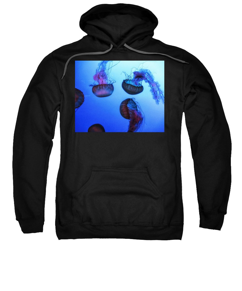 Jellyfish - Sweatshirt