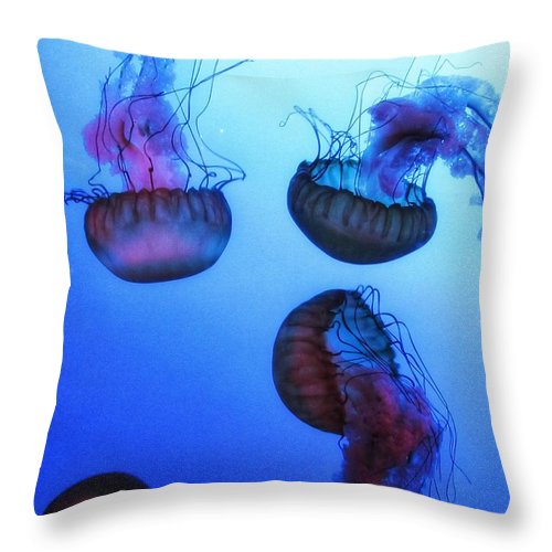 Jellyfish - Throw Pillow