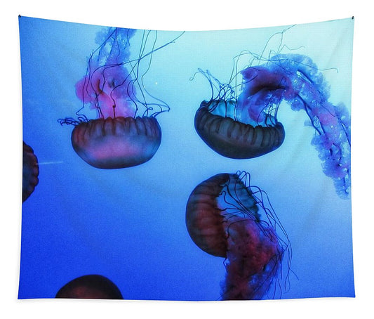 Jellyfish - Tapestry