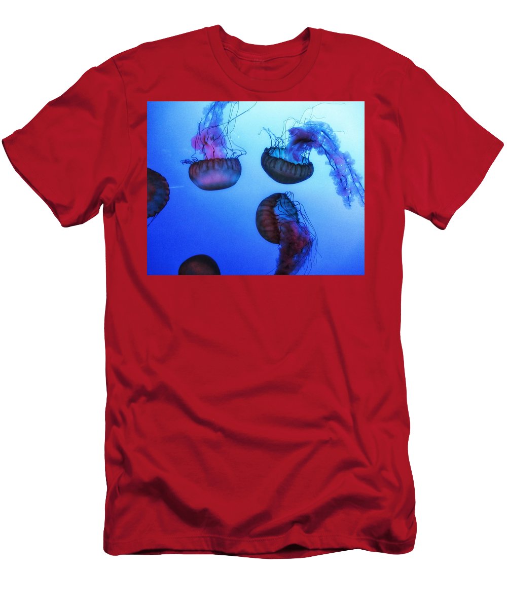 Jellyfish - T-Shirt