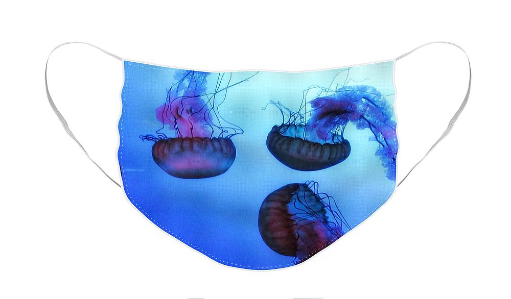 Jellyfish - Face Mask