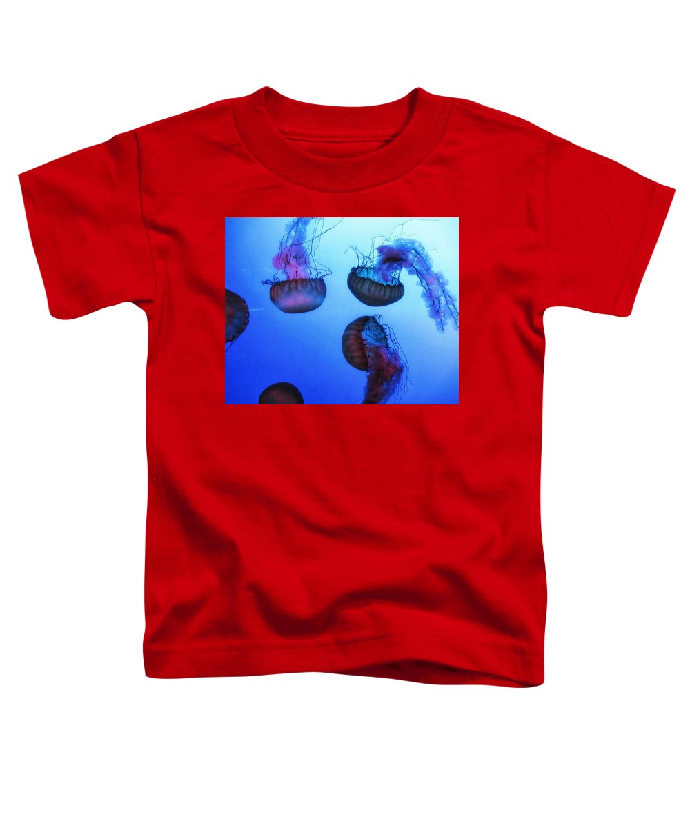 Jellyfish - Toddler T-Shirt