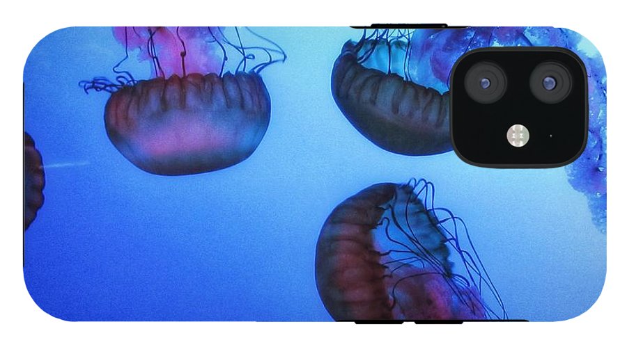 Jellyfish - Phone Case