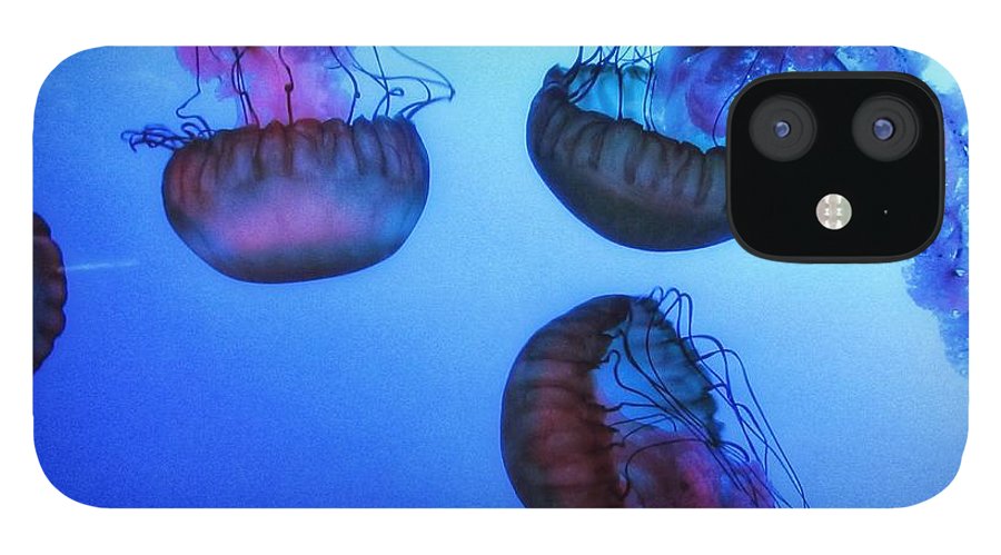 Jellyfish - Phone Case