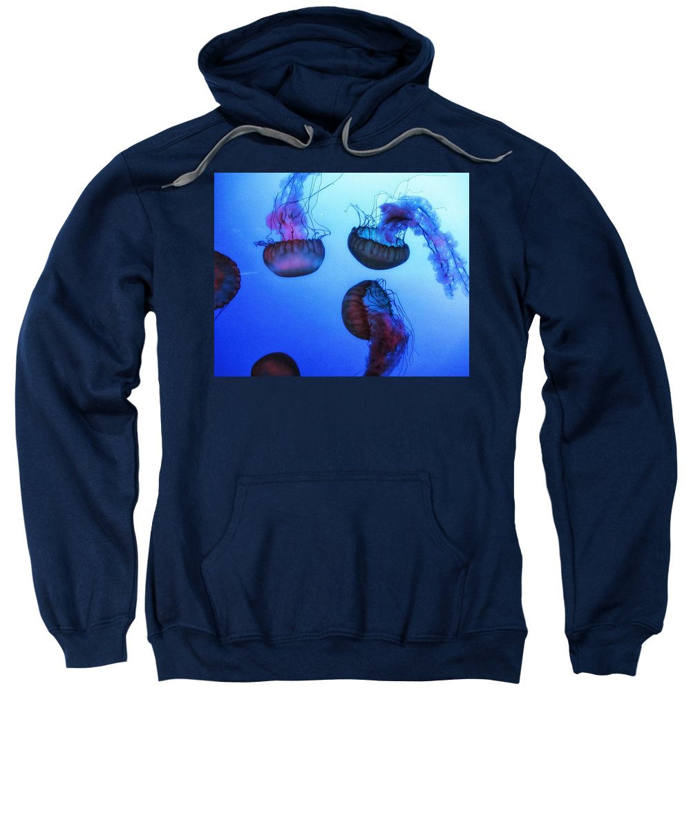 Jellyfish - Sweatshirt