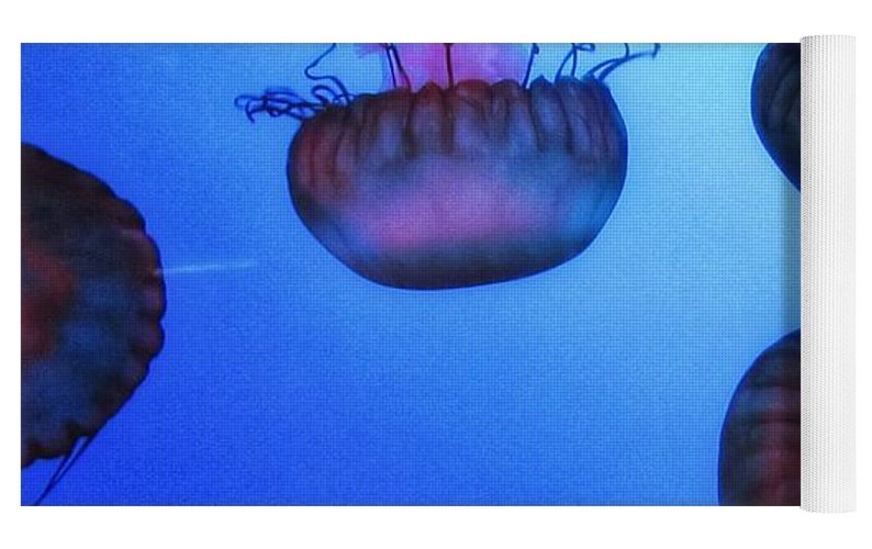 Jellyfish - Yoga Mat