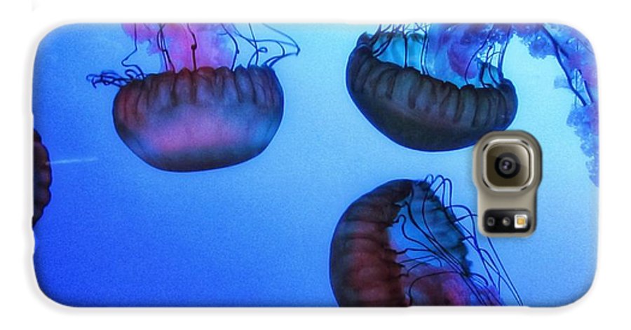 Jellyfish - Phone Case