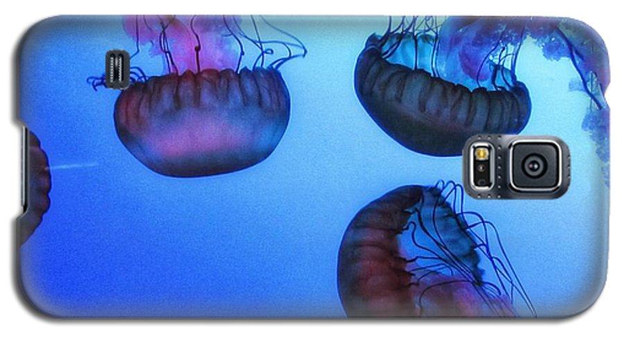 Jellyfish - Phone Case