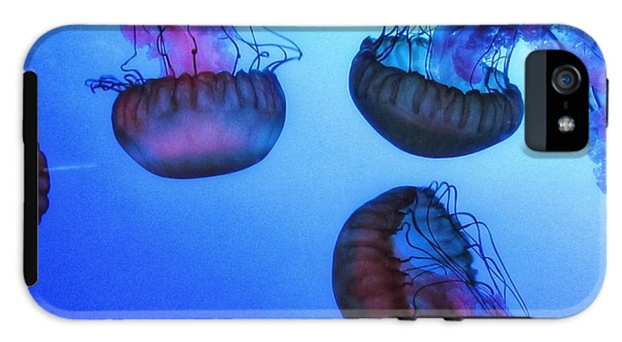 Jellyfish - Phone Case