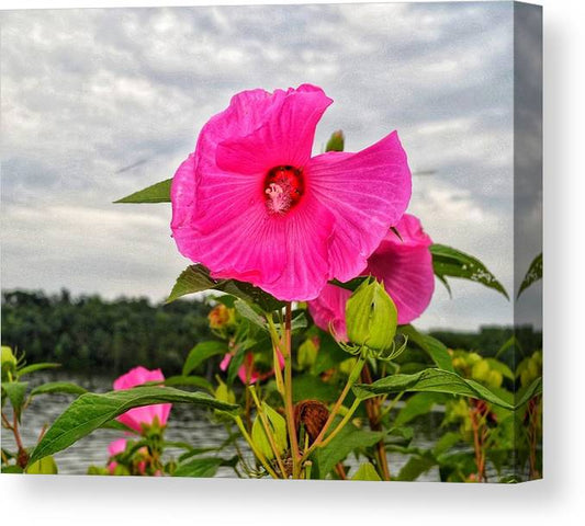 Lakeside Stunner - Canvas Print