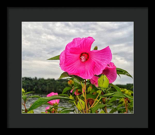 Lakeside Stunner - Framed Print