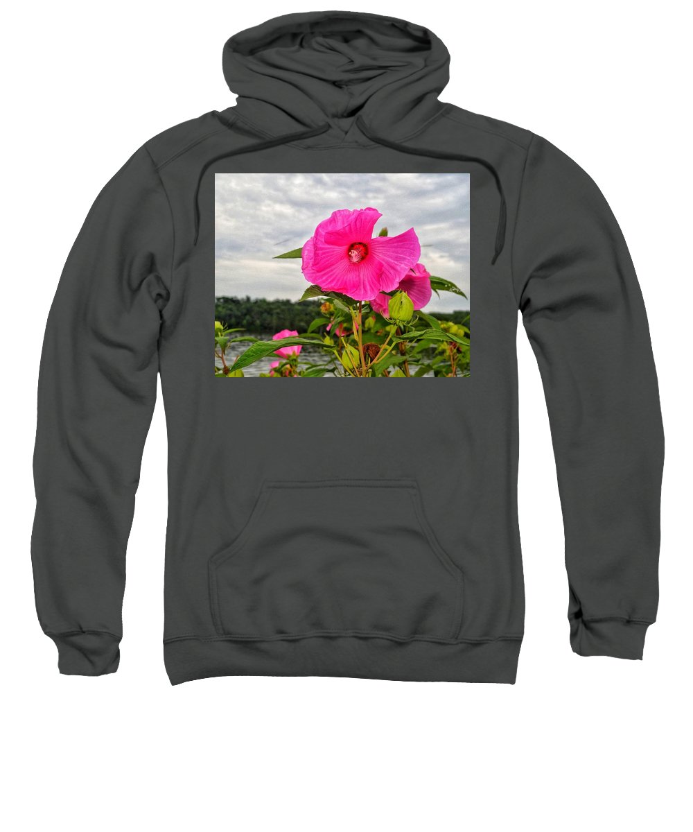 Lakeside Stunner - Sweatshirt