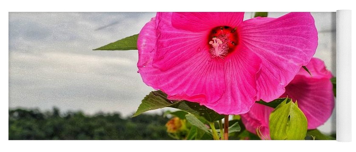 Lakeside Stunner - Yoga Mat