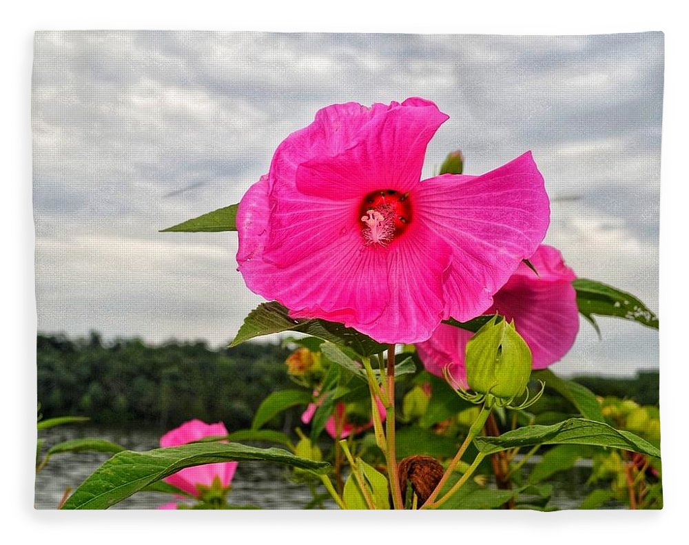 Lakeside Stunner - Blanket