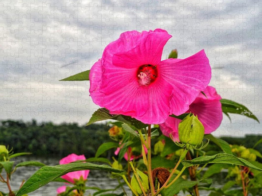 Lakeside Stunner - Puzzle