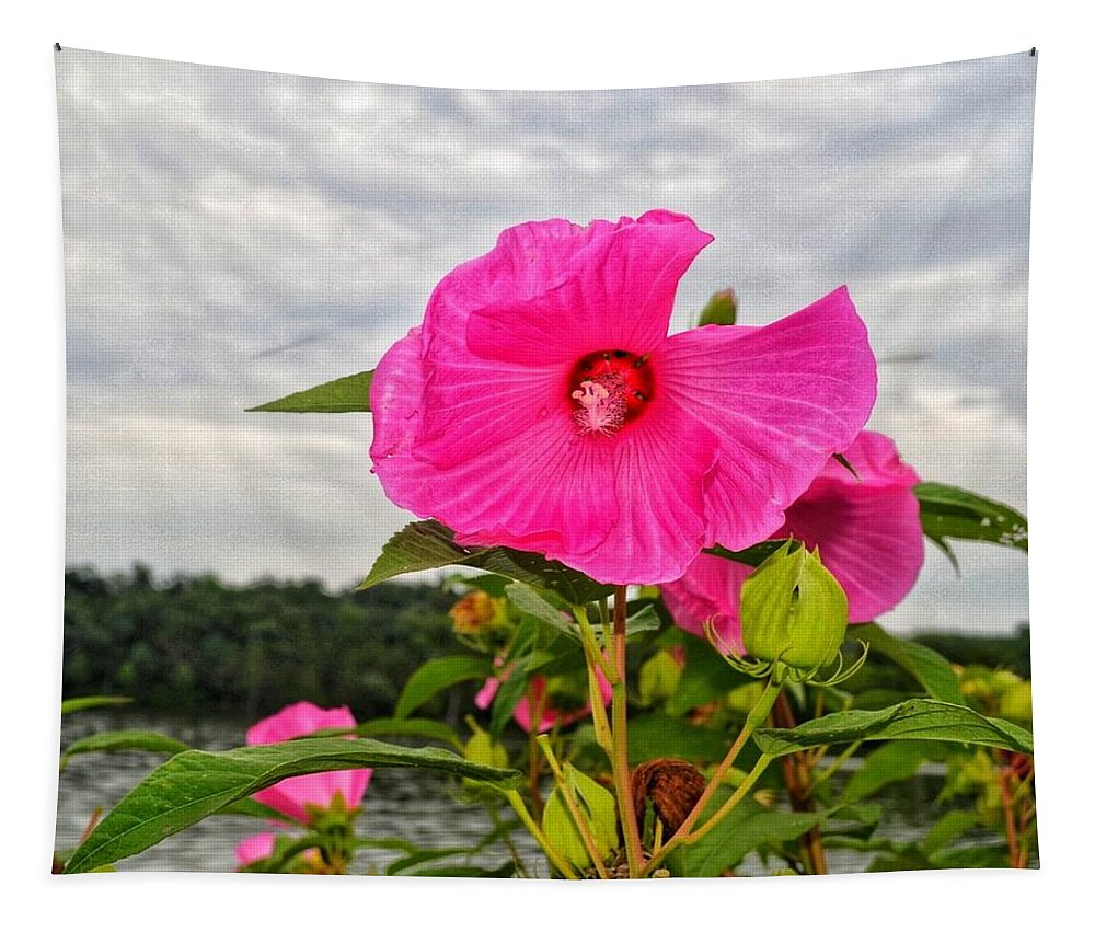 Lakeside Stunner - Tapestry