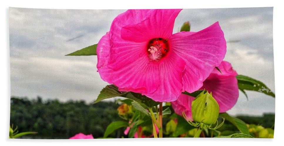Lakeside Stunner - Beach Towel