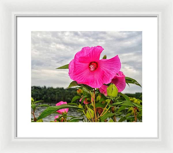 Lakeside Stunner - Framed Print