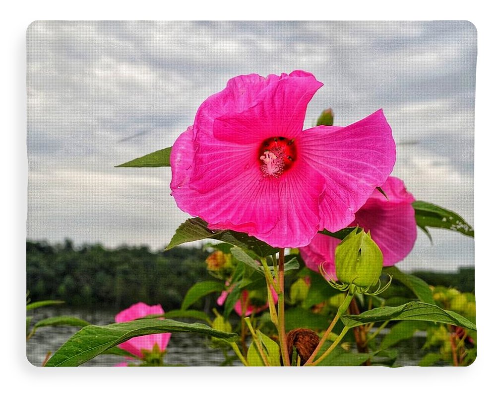 Lakeside Stunner - Blanket
