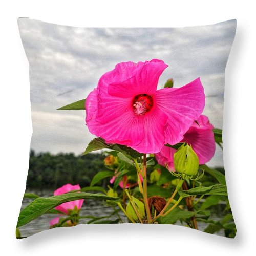 Lakeside Stunner - Throw Pillow