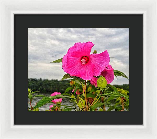 Lakeside Stunner - Framed Print