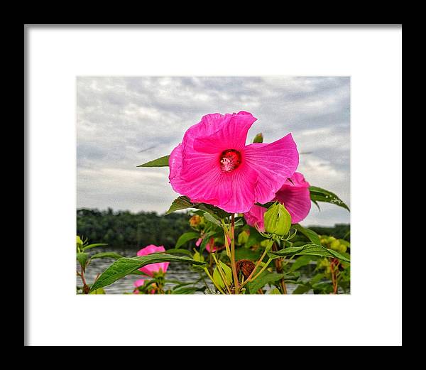 Lakeside Stunner - Framed Print