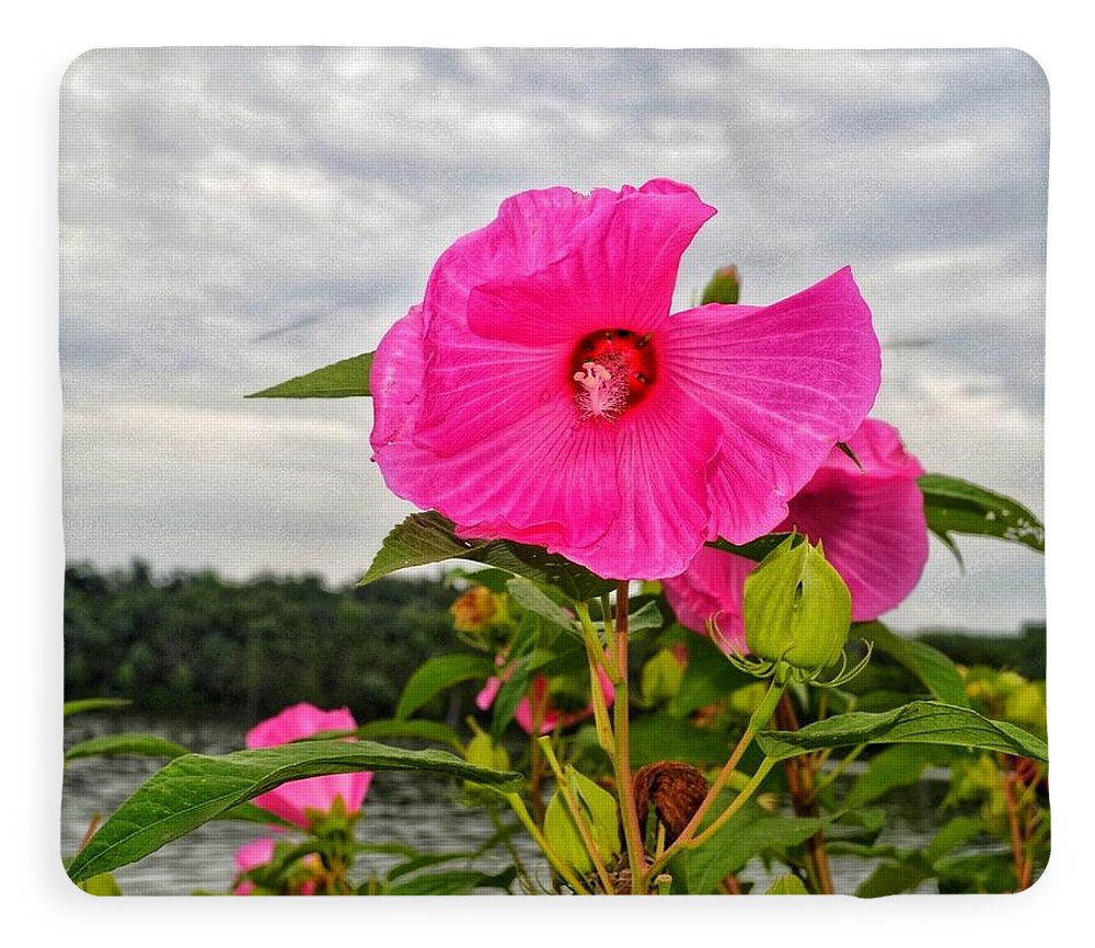 Lakeside Stunner - Blanket