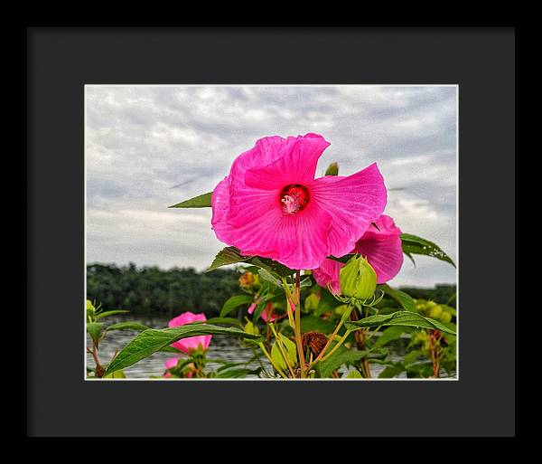 Lakeside Stunner - Framed Print