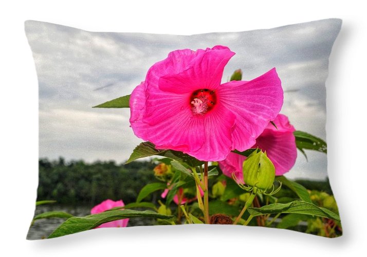 Lakeside Stunner - Throw Pillow