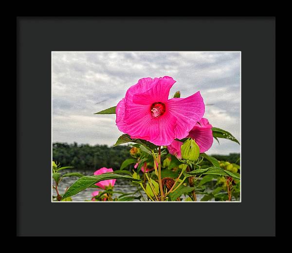 Lakeside Stunner - Framed Print