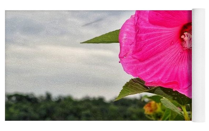 Lakeside Stunner - Yoga Mat