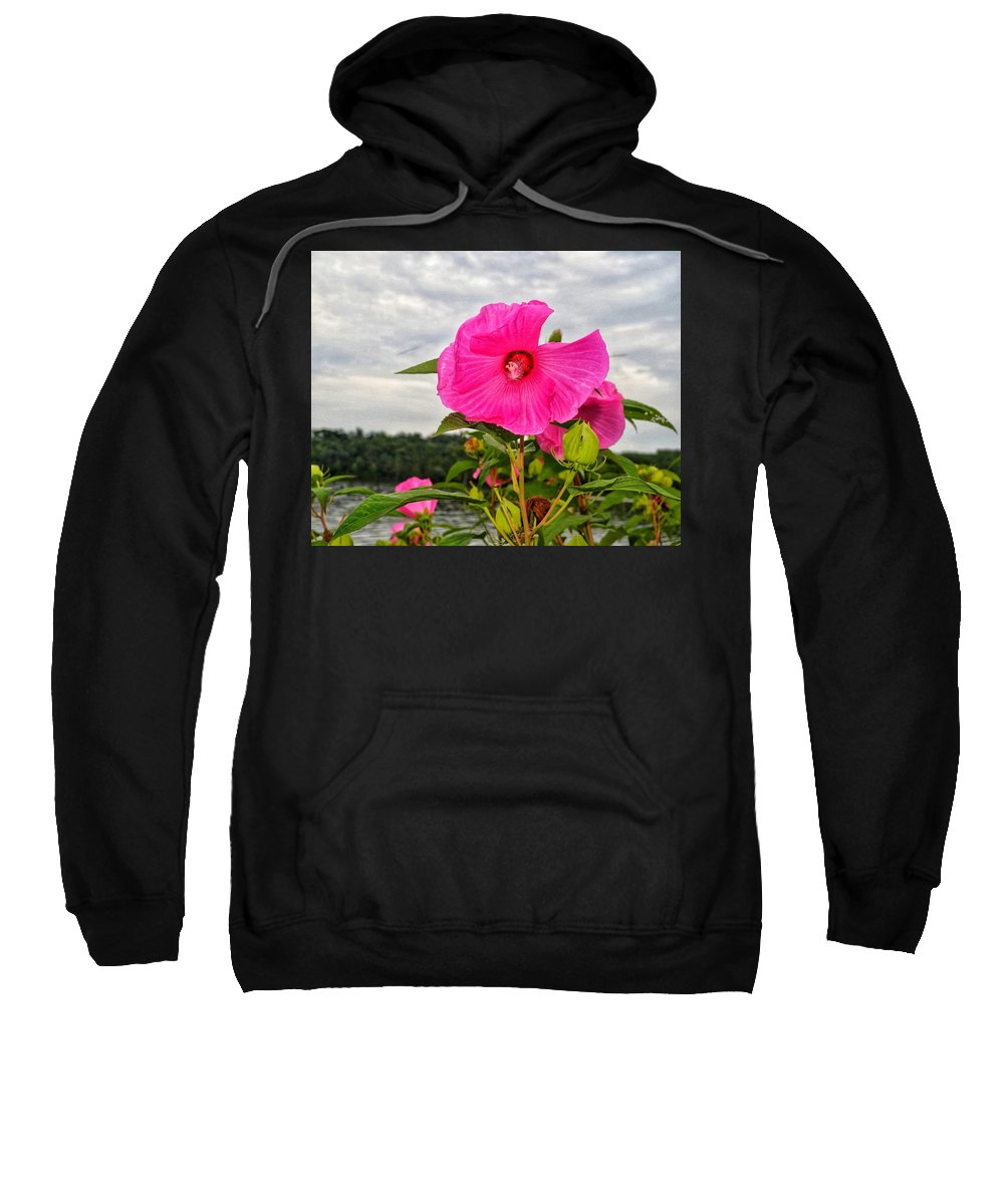 Lakeside Stunner - Sweatshirt