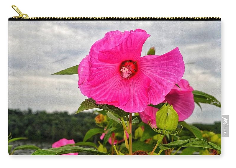 Lakeside Stunner - Carry-All Pouch