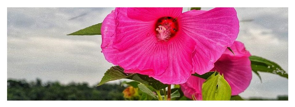 Lakeside Stunner - Yoga Mat