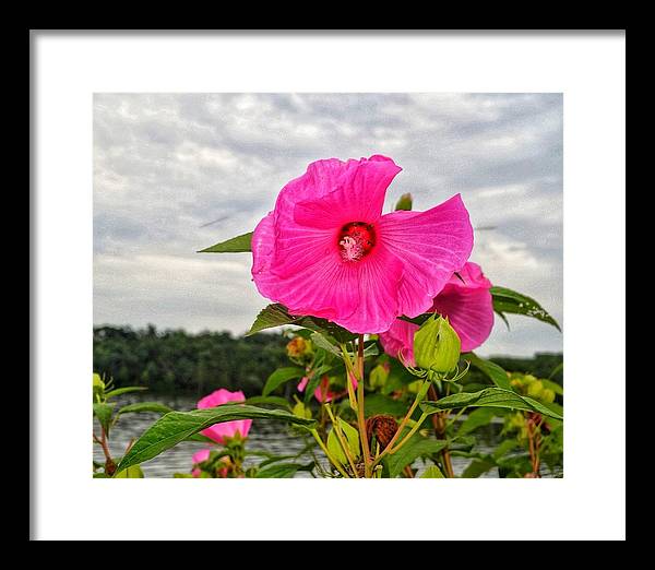 Lakeside Stunner - Framed Print