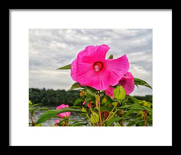 Lakeside Stunner - Framed Print