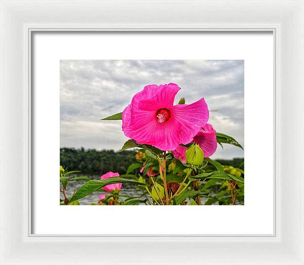 Lakeside Stunner - Framed Print