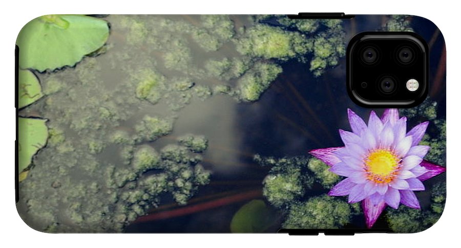 Lily Pad Pond - Phone Case