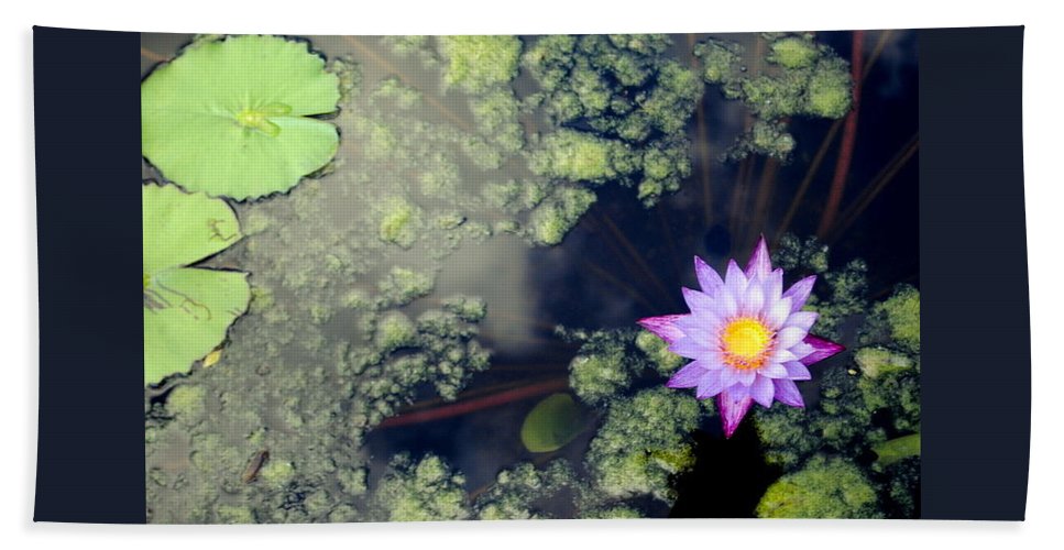 Lily Pad Pond - Bath Towel