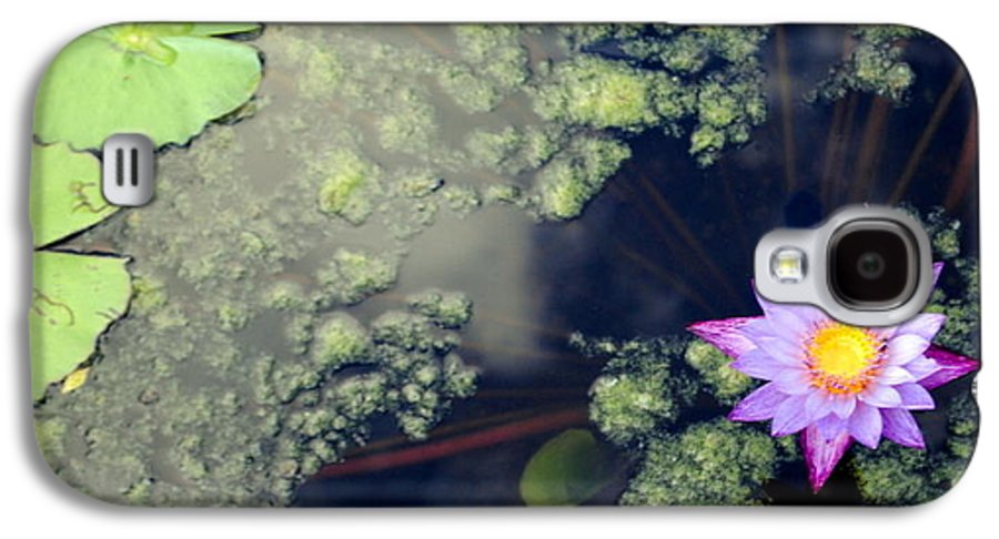 Lily Pad Pond - Phone Case