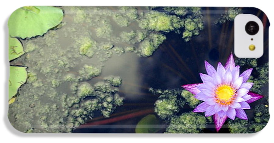 Lily Pad Pond - Phone Case