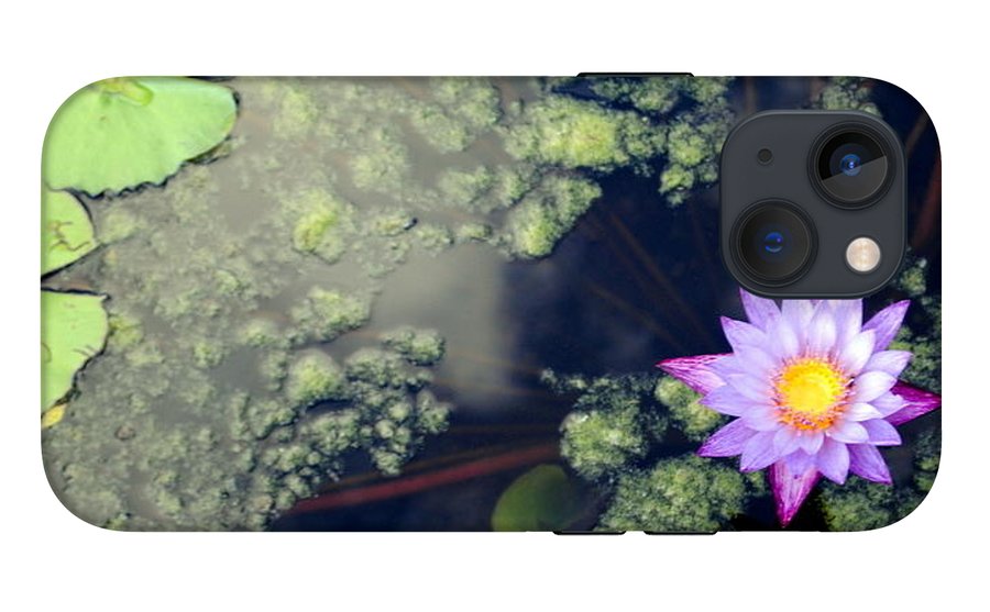 Lily Pad Pond - Phone Case