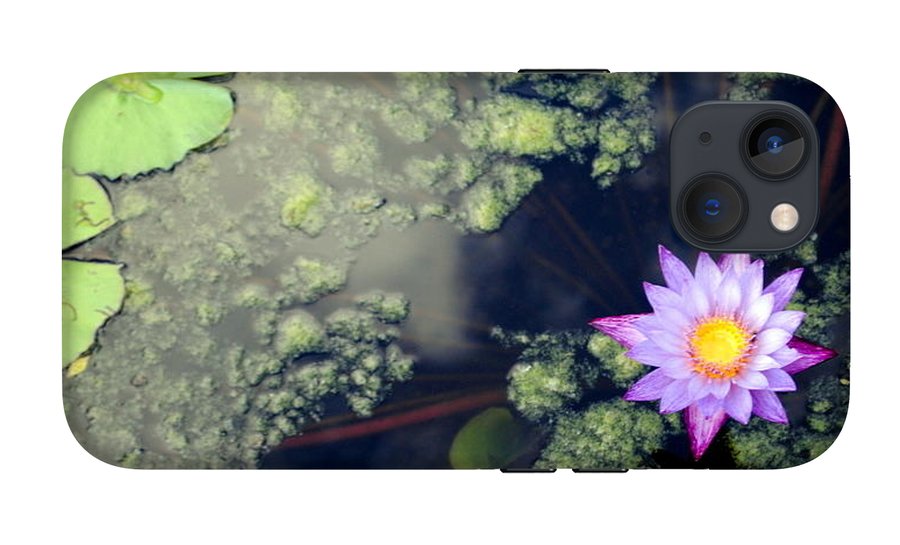 Lily Pad Pond - Phone Case