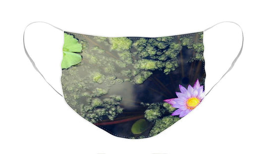 Lily Pad Pond - Face Mask