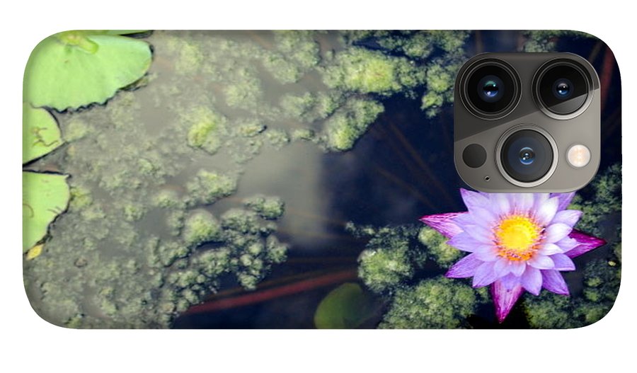 Lily Pad Pond - Phone Case