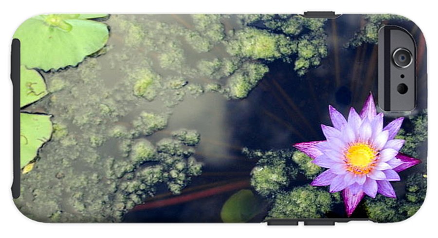 Lily Pad Pond - Phone Case