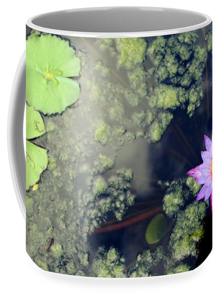 Lily Pad Pond - Mug